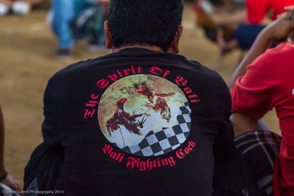 Chapter Thirty Six: Tajen – Cockfighting in Bali: July 2014